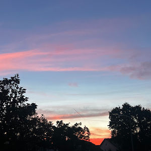 Meet your Posher, Layla